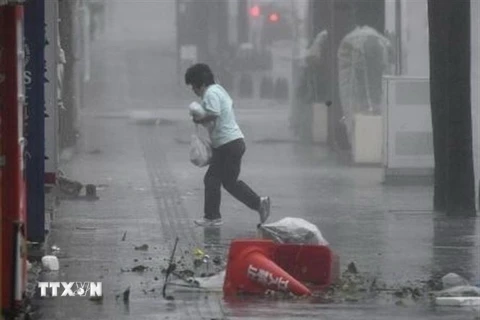 Mưa lớn khi bão Trami đổ vào Naha, tỉnh Okinawa ngày 29/9. (Ảnh: Kyodo/TTXVN)