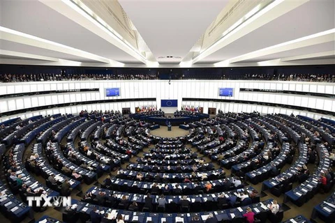 Toàn cảnh một phiên họp Nghị viện châu Âu. (Ảnh: AFP/TTXVN)