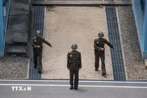 Binh sỹ Triều Tiên gác tại Khu vực an ninh chung (JSA) thuộc khu phi quân sự liên Triều, gần Kaesong. (Ảnh: AFP/TTXVN)