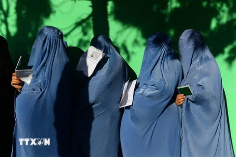 Cử tri xếp hàng chờ bỏ phiếu bầu Hạ viện Afghanistan tại tỉnh Herat. (Ảnh: AFP/TTXVN)