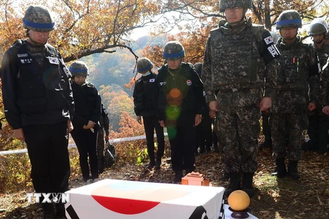 Binh sỹ Hàn Quốc mặc niệm tưởng nhớ đồng đội sau khi tìm thấy một bộ hài cốt được cho là binh sỹ tử trận trong cuộc chiến tranh Triều Tiên (1950-53) tại khu phi quân sự ở biên giới liên Triều ngày 25/10 vừa qua. (Ảnh: Yonhap/TTXVN )