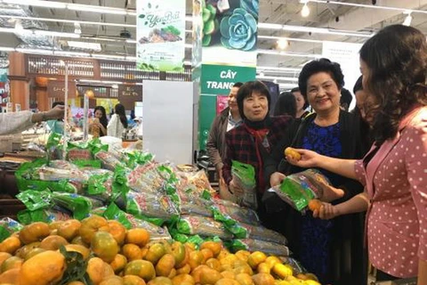 Người dân Thủ đô Hà Nội tham quan gian hàng nông sản Yên Bái. (Ảnh: Thành Trung/BNEWS/TTXVN)