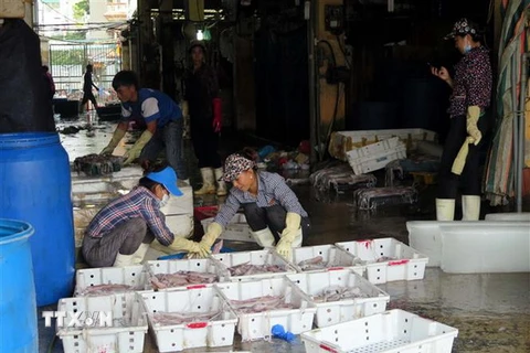 Gian hàng hải sản tại chợ Long Biên giảm lượng người và xe vận chuyển hàng hóa. (Ảnh: Nguyễn Văn Cảnh/TTXVN)