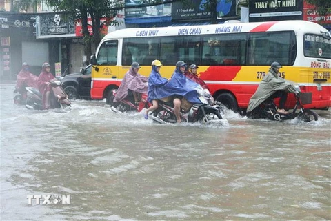 Các phương tiện di chuyển khó khăn tại thành phố Vinh, tỉnh Nghệ An. (Ảnh: Nguyễn Oanh/TTXVN)