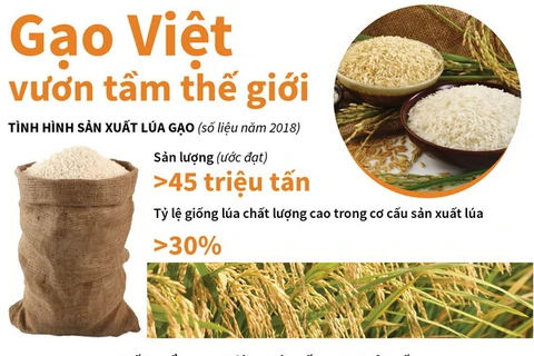 [Infographics] Sắp công bố Logo thương hiệu quốc gia gạo Việt Nam