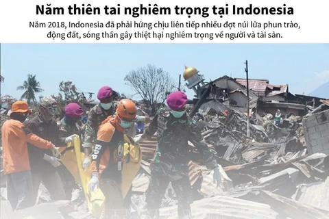 [Infographics] Một năm thiên tai nghiêm trọng tại Indonesia