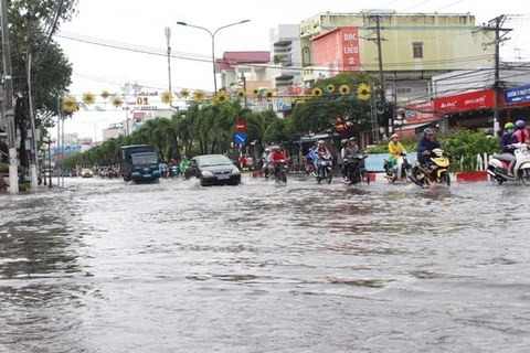 Mưa lớn, nhiều tuyến đường nội ô thành phố Bạc Liêu ngập sâu 