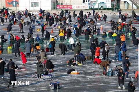 Du khách tham gia Lễ hội câu cá trên băng ở Hwacheon, Hàn Quốc ngày 5/1. (Ảnh: THX/TTXVN)
