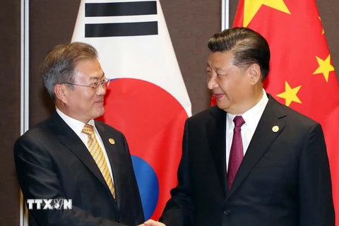 Tổng thống Hàn Quốc Moon Jae-in (trái) trong cuộc gặp Chủ tịch Trung Quốc Tập Cận Bình bên lề Tuần lễ Cấp cao Diễn đàn Hợp tác Kinh tế châu Á-Thái Bình Dương (APEC) tại thủ đô Port Moresby của Papua New Guinea ngày 17/11/2018. (Ảnh: Yonhap/TTXVN)