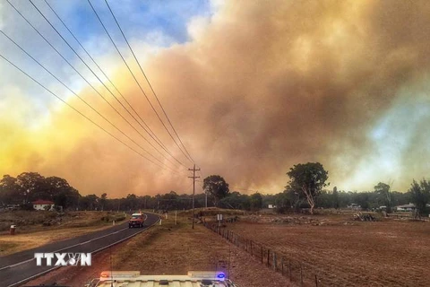 Khói bốc lên trong đám cháy ở ngoại ô Tingha, New South Wales, Australia, ngày 13/2 vừa qua. (Ảnh: AFP/TTXVN)