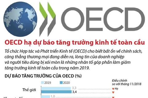 OECD dự báo tăng trưởng kinh tế toàn cầu giảm trong năm nay