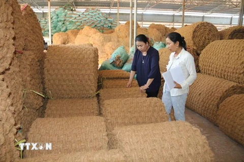 Công ty Trách nhiệm hữu hạn Một thành viên Út Mừng chuyên sản xuất sản phẩm từ chỉ tơ xơ dừa, là một trong những doanh nghiệp được Dự án hỗ trợ phát triển sản xuất. (Ảnh: Thanh Hòa/TTXVN)