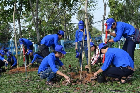 Đoàn viên thanh niên trồng cây “vì môi trường xanh trong tương lai” tại Trường Trung học phổ thông Lấp Vò 2, huyện Cao Lãnh, tỉnh Đồng Tháp. (Ảnh: Chương Đài/TTXVN)