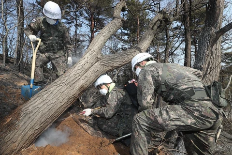 Binh sĩ Hàn Quốc nỗ lực dập các đám cháy tại thị trấn biên giới Goseong ngày 5/4. (Nguồn: YONHAP/TTXVN)