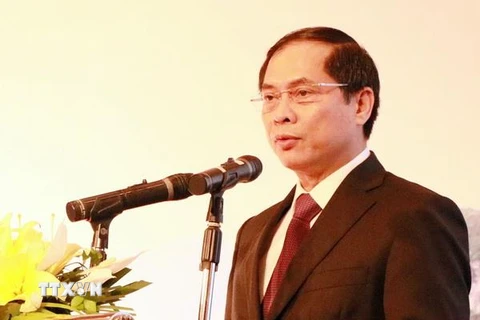 Thứ trưởng Bộ Ngoại giao Bùi Thanh Sơn phát biểu tại hội thảo. (Ảnh: Văn Đức/TTXVN)