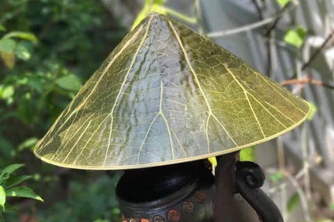Sản phẩm "nón lá sen" của Nguyễn Thanh Thảo sẽ được trưng bày tại Festival Nghề truyền thống Huế năm 2019. (Ảnh: Quốc Việt/TTXVN)
