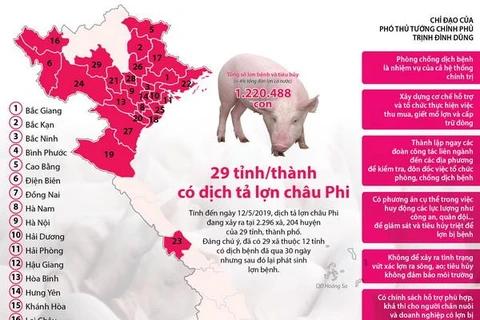 [Infographics] 29 tỉnh, thành phố có dịch tả lợn châu Phi