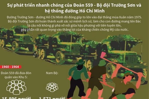 Sự phát triển của Đoàn 559-Bộ đội Trường Sơn và hệ thống đường HCM