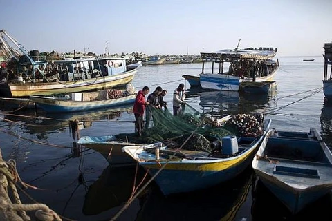 Ngư dân Palestine làm sạch lưới sau chuyến đi câu cá đêm, tại cảng biển Gaza. (Nguồn: AP)