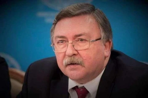 Đại diện thường trực của Nga tại Các tổ chức quốc tế ở Vienna của Áo Mikhail Ulyanov. (Nguồn: urdupoint)