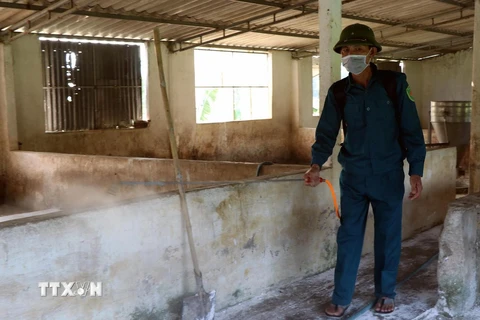 Lực lượng chức năng phun hóa chất tiêu độc khử trùng tại các trại chăn nuôi. (Ảnh: Công Tường/TTXVN)
