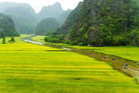 Bí kíp đi du lịch ở Ninh Bình giữa “mùa vàng” Tam Cốc