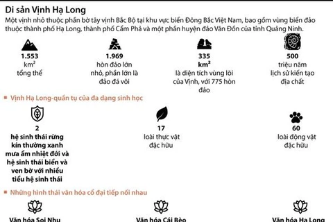[Infographics] Vịnh Hạ Long - 2 lần được công nhận là Di sản thế giới