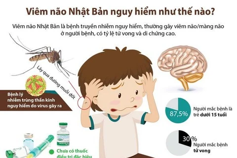 [Infographics] Viêm não Nhật Bản nguy hiểm như thế nào?