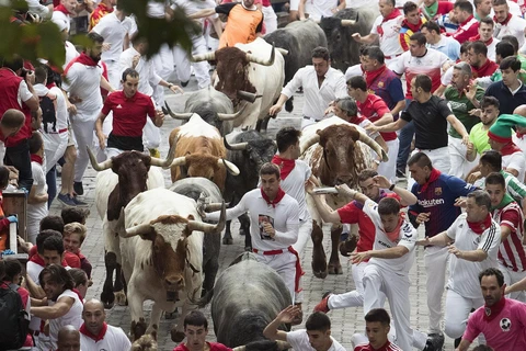 Du khách tại lễ hội rượt bò San Fermin ở Pamplona của Tây Ban Nha, ngày 9/7 vừa qua. (Ảnh: AFP/TTXVN) 