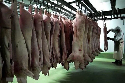 Các sản phẩm thịt lợn tại nhà máy chế biến thực phẩm ở ngoại ô thủ đô Sofia, Bulgaria. (Nguồn: AFP/TTXVN)