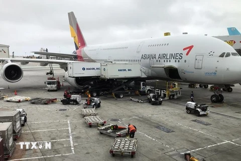Máy bay của Asiana Airlines. (Ảnh: AFP/TTXVN)