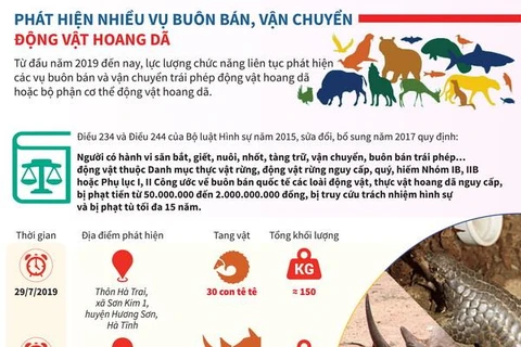 [Infographics] Những vụ buôn bán động vật hoang dã lớn bị triệt phá