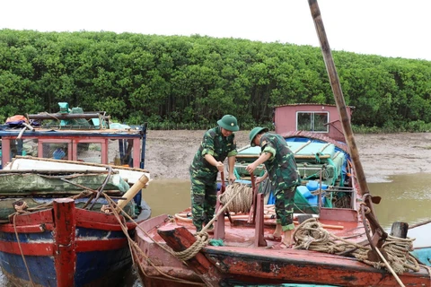 Bộ đội Biên phòng tỉnh Ninh Bình giúp ngư dân phòng chống bão. (Ảnh: Ninh Đức Phương/TTXVN)
