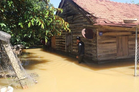 Mưa lớn kéo dài gây ngập cục bộ nhiều nơi tại tỉnh Lâm Đồng