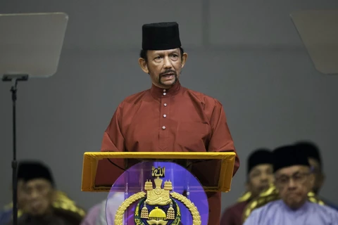 Quốc vương Brunei Hassanal Bolkiah. (Ảnh: AFP/TTXVN)