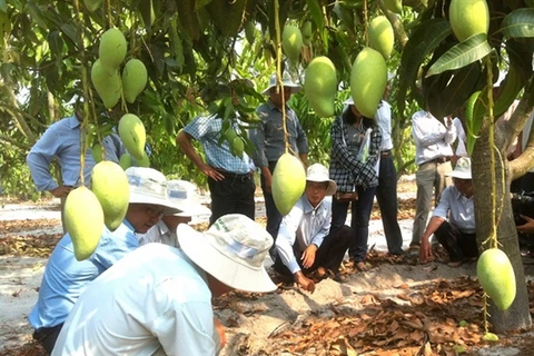 Ứng dụng khoa học công nghệ, tiết kiệm nước cho cây trồng Nam Trung Bộ