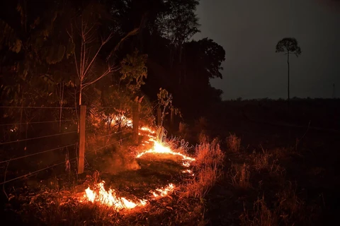 Đám cháy tại rừng Amazon ở gần Abuna, bang Rondonia, Brazil, ngày 24/8 vừa qua. (Ảnh: AFP/TTXVN)