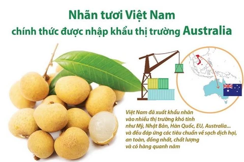 Nhãn tươi Việt Nam chính thức được nhập khẩu thị trường Australia