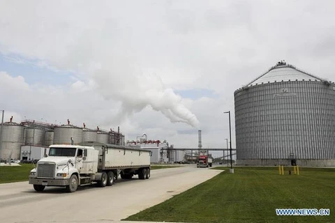 Một chiếc xe tải vận chuyển ngô di chuyển tại một nhà máy ethanol của Elite Octane, LLC. tại Atlantic, Iowa của Hoa Kỳ, ngày 18/6 vừa qua. (Nguồn: xinhuanet) 