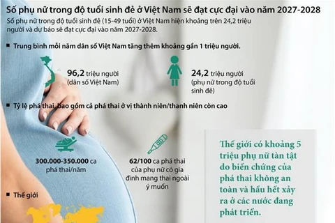 Việt Nam: Số phụ nữ ở độ tuổi sinh đẻ đạt cực đại vào năm 2027-2028
