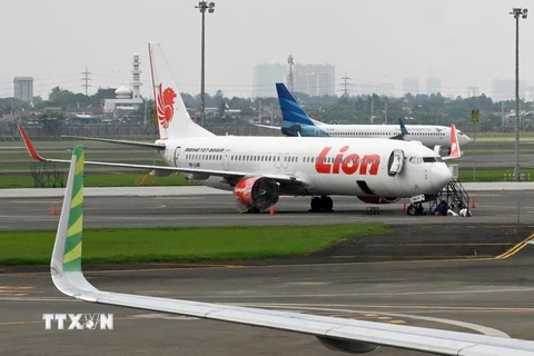 Máy bay của hãng hàng không Lion Air. (Ảnh: AFP/TTXVN)