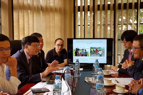 Đại sứ Lê Huy Hoàng và đại diện doanh nghiệp Việt Nam-Nhật Bản trao đổi về các biện pháp đẩy mạnh tiến độ Dự án sắp tới. (Ảnh: Đình Lượng/TTXVN)