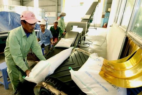 Lúa gạo là mặt hàng Việt Nam vốn có nhiều lợi thế cạnh tranh khi xuất khẩu sang EU. (Ảnh: TTXVN)