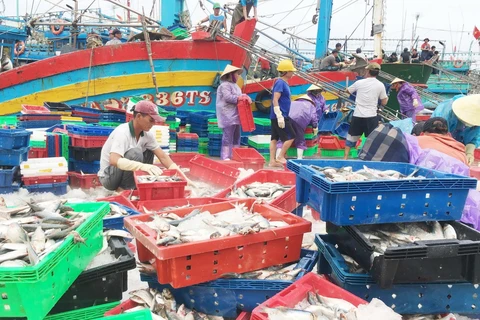 Hàng trăm tàu cá công suất lớn cập cảng Lạch Quèn ở xã Quỳnh Thuận, huyện Quỳnh Lưu, tỉnh Nghệ An, để trú bão và bán hải sản. (Ảnh: Nguyễn Oanh/TTXVN)