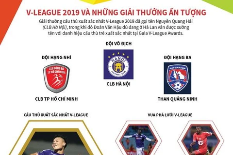 [Infographics] V-League 2019 và những giải thưởng ấn tượng