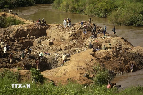 Người dân đào vàng tại khu vực Ituri, Cộng hòa Dân chủ Congo. (Ảnh: AFP/TTXVN)