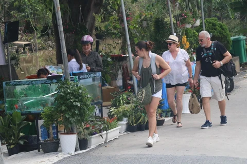 Du khách nước ngoài đến với Làng cổ Đông Hòa Hiệp, tỉnh Thừa Thiên-Huế. (Ảnh : Minh Trí/TTXVN)