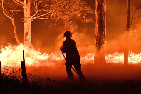 Lính cứu hỏa nỗ lực dập lửa cháy rừng tại bang New South Wales của Australia ngày 31/12/2019. (Ảnh: AFP/TTXVN)