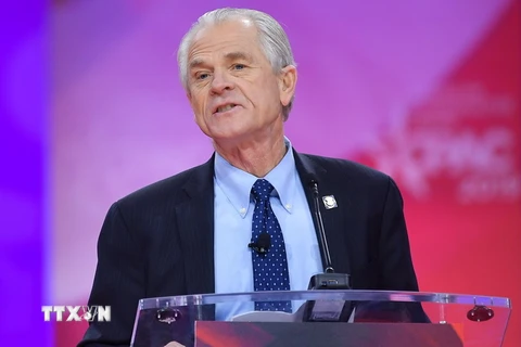 Cố vấn thương mại Nhà Trắng Peter Navarro. (Ảnh: AFP/TTXVN)