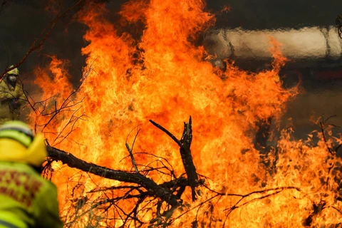 Hiện trường vụ cháy rừng tại Taree, bang New South Wales của Australia. (Ảnh: THX/TTXVN)